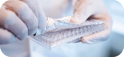 SPOT-it TREC Screening Kit